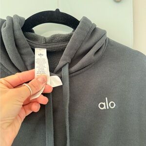 ALO Yoga Evergreen Hoodie Sweater